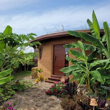 Villa Eco Loft Maymuna: Seu Loft Ecologico Pertinho Da Praia Pôrto de Pedras Exterior foto