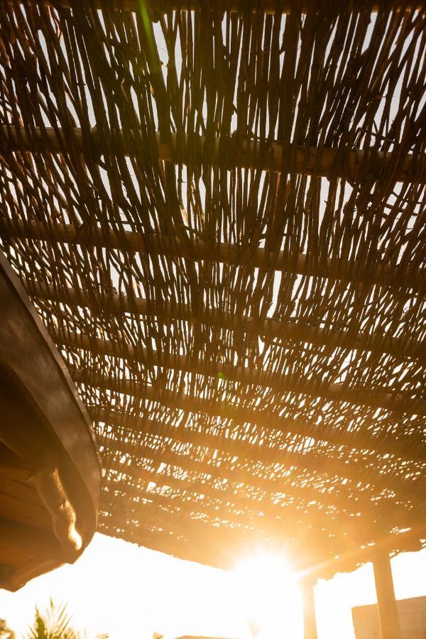 Villa Eco Loft Maymuna: Seu Loft Ecologico Pertinho Da Praia Pôrto de Pedras Exterior foto